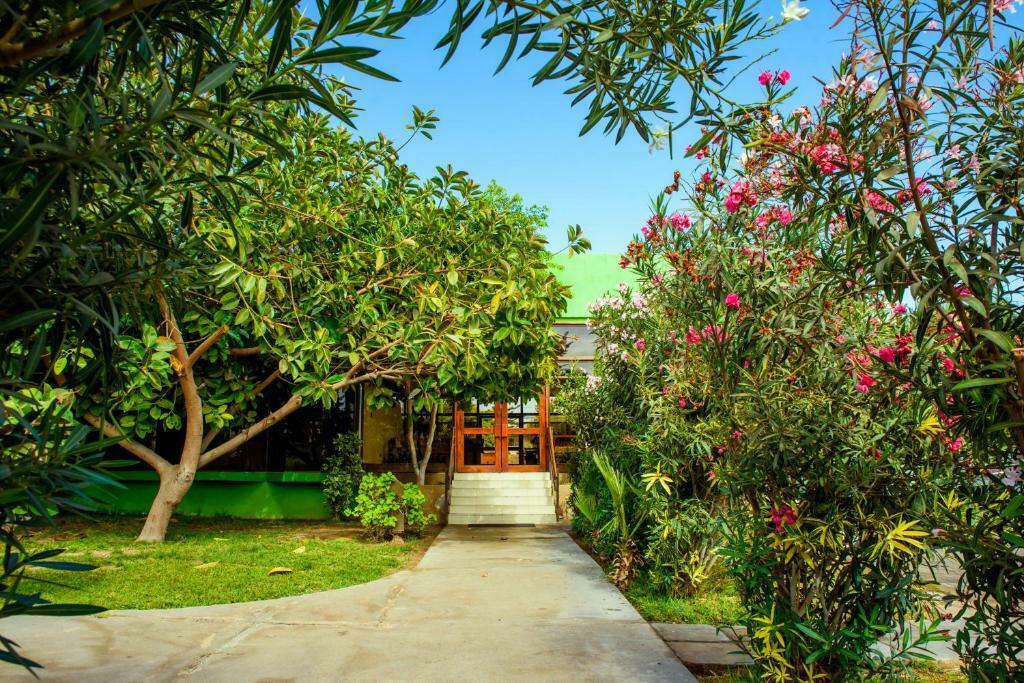 Hotel Del Valle Azapa Arica Extérieur photo